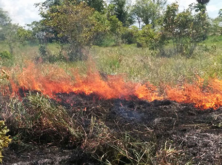 100915-cotidiano-incendiocruzeirodosul-juruaonline