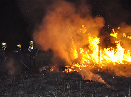 180915-cotidiano-incendioflorestal-cleriston2