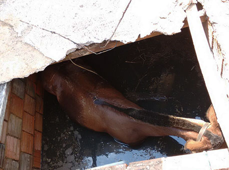 210915-cotidiano-eguacaida-cedida