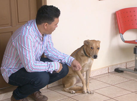 121015-cotidiano-cachorronocanil-tvgazeta