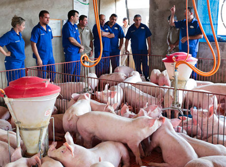 141015-cotidiano-domporquito-gleilsonmirandaagenciadenoticiasdoacre