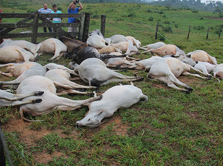 181015-cotidiano-temporalbrasileia-alexandrelima2