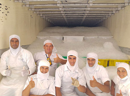 191115-cotidiano-peixesdaamazonia-cedida