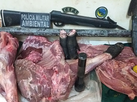 231115-policia-crimeambiental-cleriston