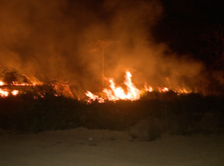 100815-cotidiano-queimadas-tvgazeta2
