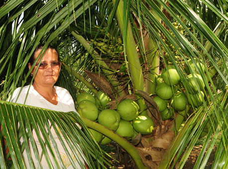 090216-cotidiano-coco-onofrebrito