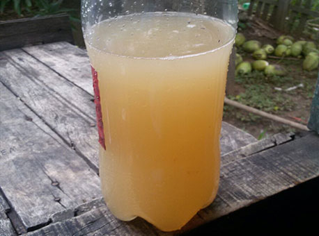 120216-cotidiano-aguapodre-cedida