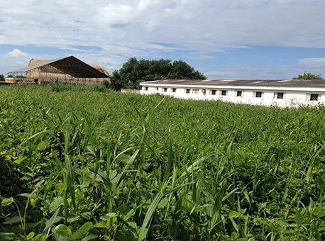 190216-cotidiano-hosmacdengue-senildomelo