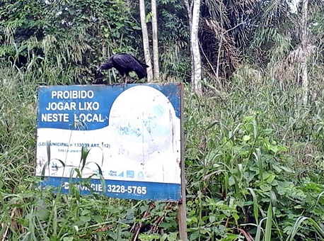 220216-cotidiano-abandonoaltoalegre