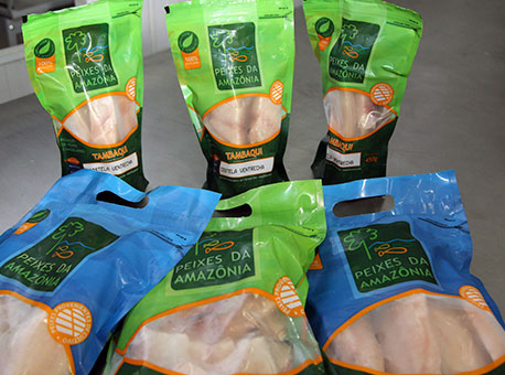 030516-cotidiano-peixesnaapas-angelaperesagenciadenoticias