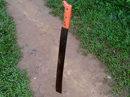 160516-policia-tercadojordao-cedida