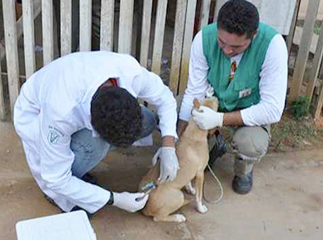 030616-cotidiano-vacinacao-ascomprefeitura