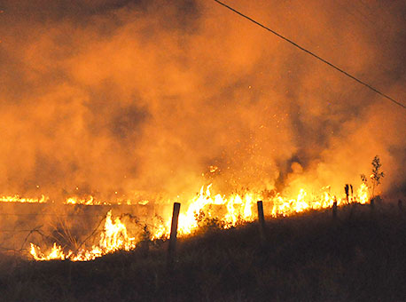 230616-cotidiano-incendiocalafate-cleriston2