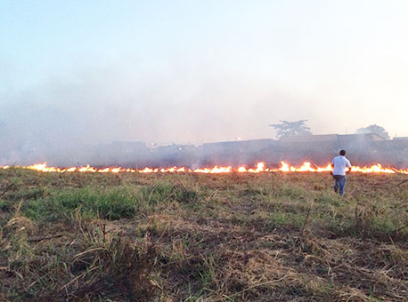 270616-cotidiano-incendio-senildomelo