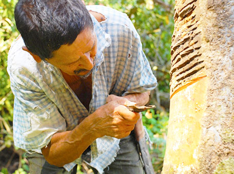 280616-oportunidades-corteseringueira-agenciadenoticiasdoacre