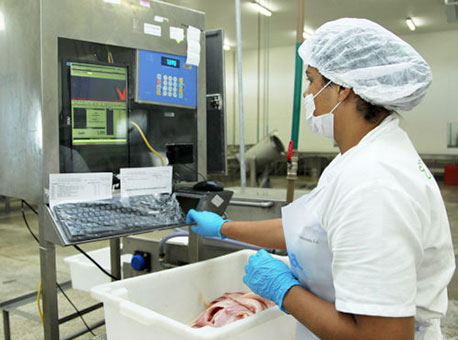 140716-cotidiano-peixesdaamazonia-angelaperes