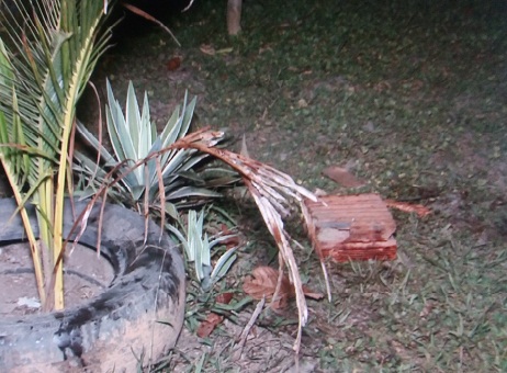 010816-policia-assassinato-corpo