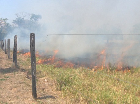 030816-cotidiano-multas-queimadas