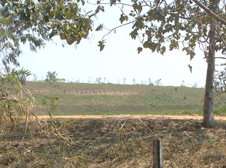 040816-cotidiano-aquilesperet-tvgazeta