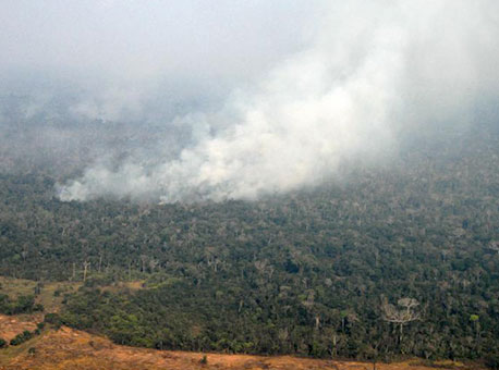 050816-cotidiano-queimadafloresta-pedrodevaniragenciadenoticiasdoacre