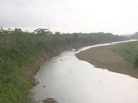 110816-cotidiano-chuvaalivio-tvgazeta2
