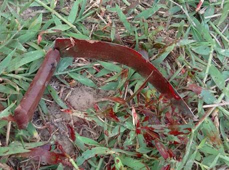 150816-policia-assassinatotarauaca-blogdoaccioly