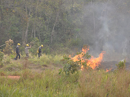 120916-cotidiano-incendioflorestal-cleriston