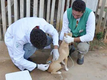 030616-cotidiano-vacinacao-ascomprefeitura 410 305