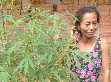 061016-policia-pedemaconha-cleriston