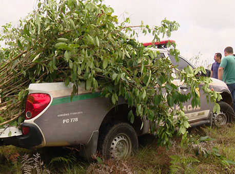 121016-policia-coca-tvgazeta