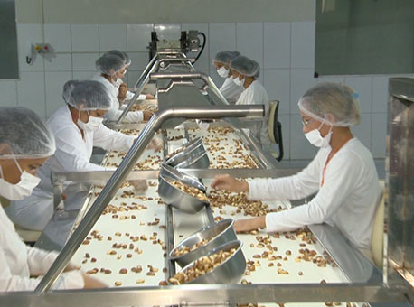 261016-cotidiano-valoresdaamazonia-tvgazeta