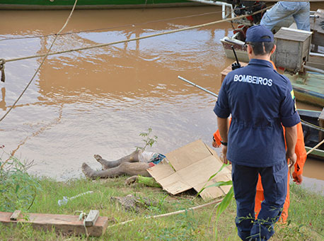 121216-policia-homemmorto-cleriston