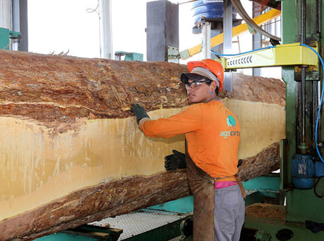 131216-cotidiano-agrocortex-divulgacao