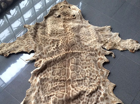 191216-policia-operacaomustache-cedida