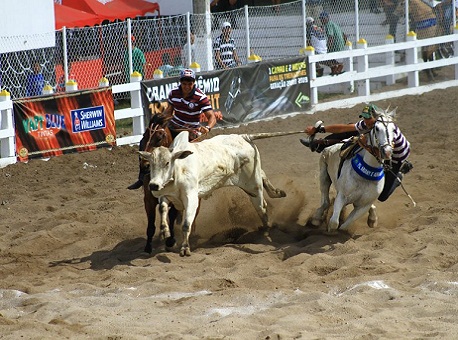 271216-politica-pl-vaquejada