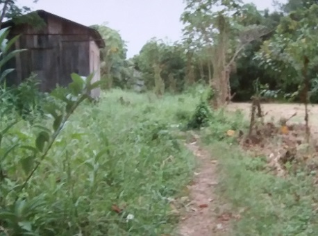 270417-policia-trocadetiros-mortos