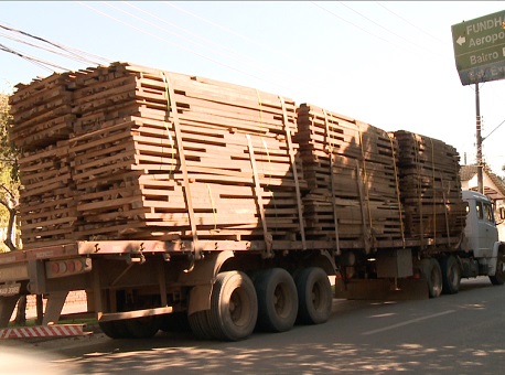 130617-policia-madeira-irregular