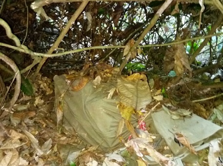 020917-policia-droga-23kg