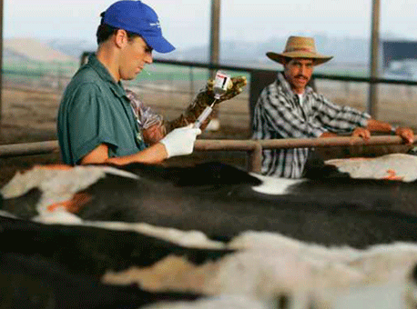 021017-concursos-medicoveterinario-divulgacao