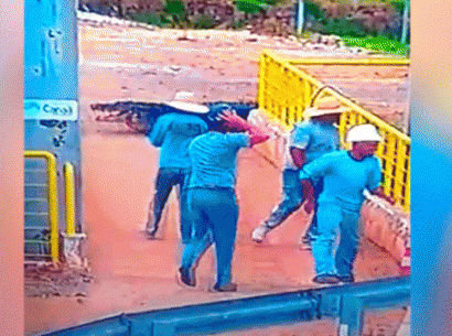 050218-cotidiano-jacareacu-cedida 410 305