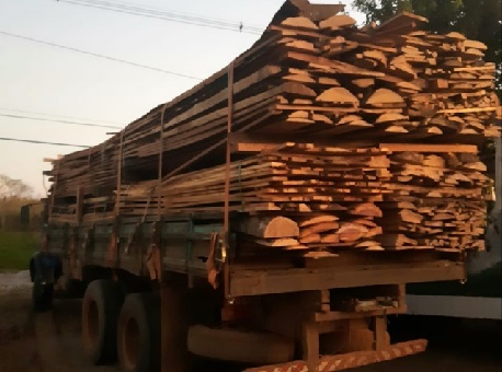 17-06-20 madeira irregular