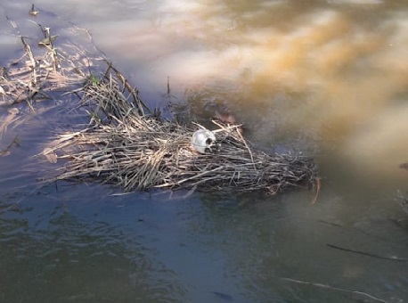 110720-cranico-igarape-santa-ines