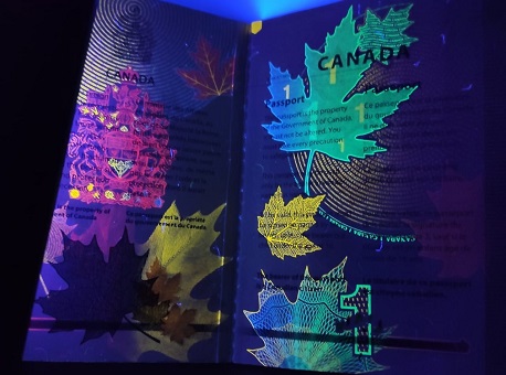 30-08-2020 pf-prende-imigrantes-ilegais-em-assis-brasil