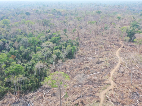 08-09-2020 Operação-Focos-II-multa-proprietário-em-R-820-mil-por-queimada