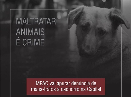 09-09-2020 mpac-vai-investigar-maus-tratos-a-cachorro