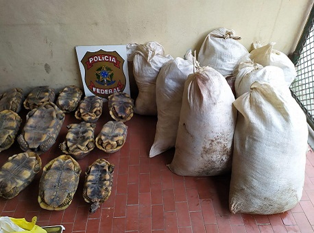 19-09-2020 policia-federal-apreende-animais-e-mais-de-400kg-de-carne-de-caça