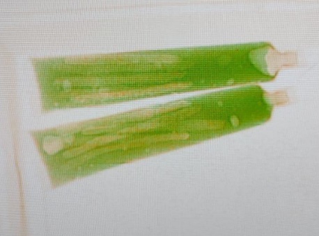 24-10-2020 policiais-penais-apreendem-maconha-que-estava-escondida-em-creme-dental