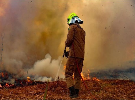 28-10-20-incendiario-transacreana