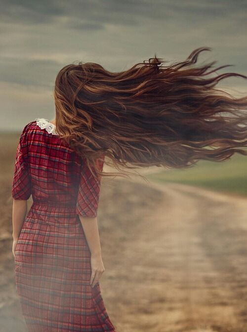 seu cabelo suas regras