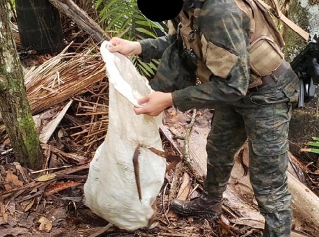 02112020-apreensao-rodriguesalves